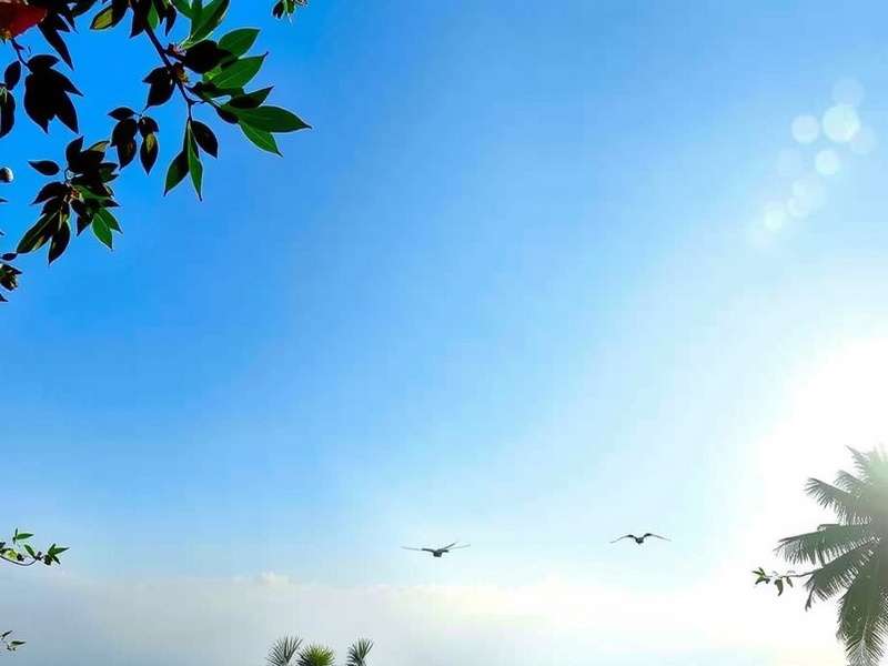 Medical Laboratory at RNT